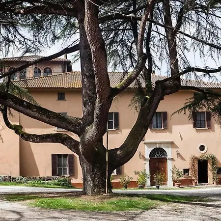 Il Cedro Del Libano B&B