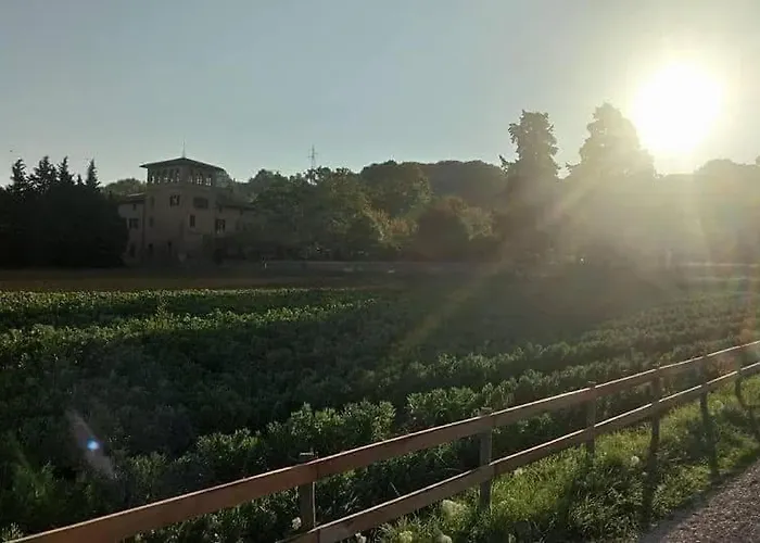 B&B Il Cedro Del Libano